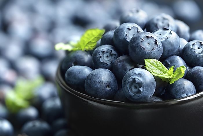 Top 10 Blueberry Producing States In America