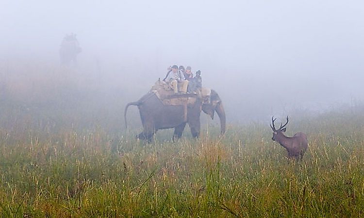Which Countries In Asia Have The Highest Number Of National Parks?