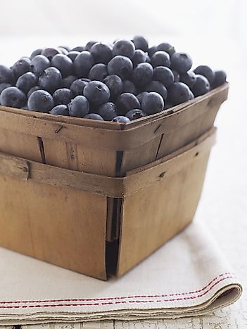 #10 New York - 1.6 Million Pounds of Blueberries Produced