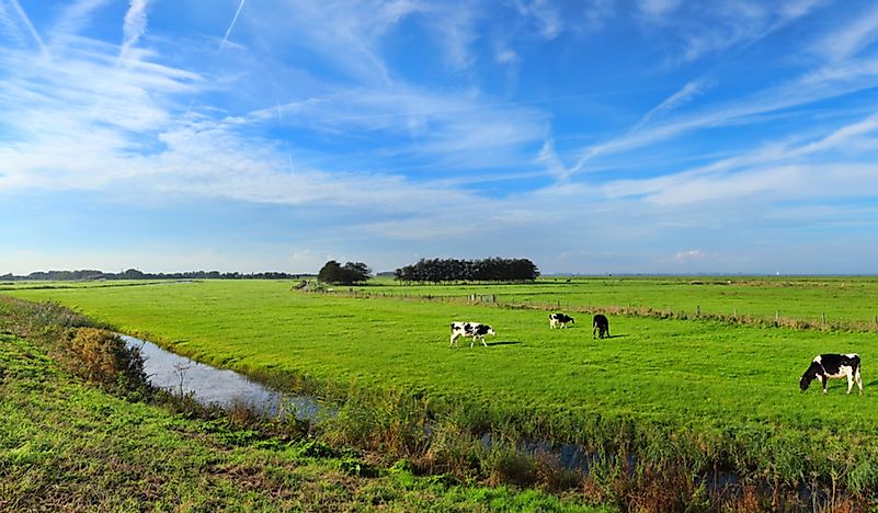 What Is A Water-Meadow?