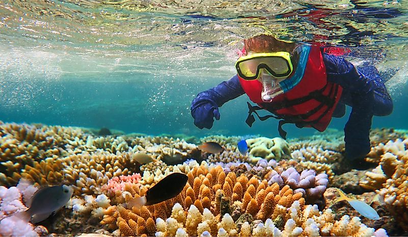 Fun Facts About Australia