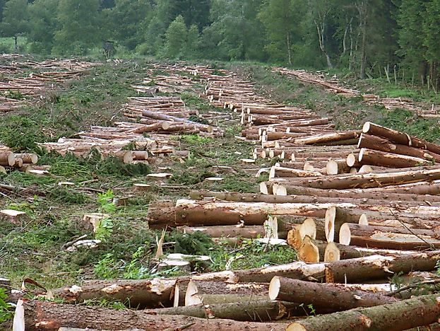 #1 Human Threats and Conservation Efforts