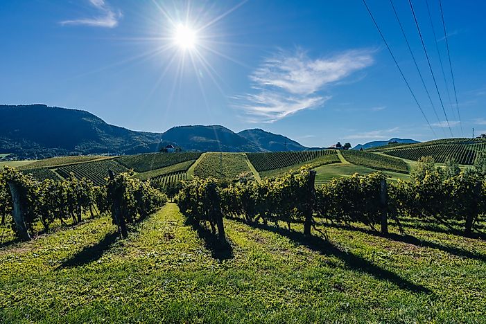 What Are The Biggest Industries In Slovenia?
