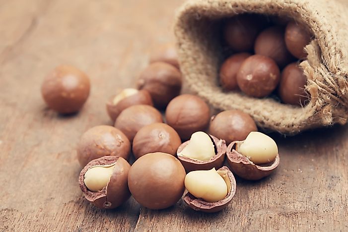 Top Macadamia Consuming Countries