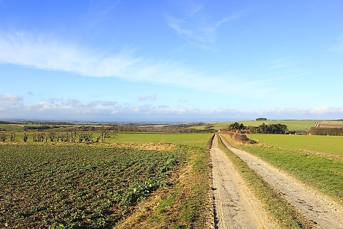 Brexit Leaves Farmers With Uncertain Future