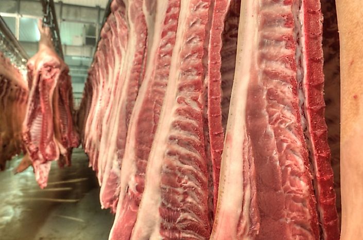 All About The Pork Industry
