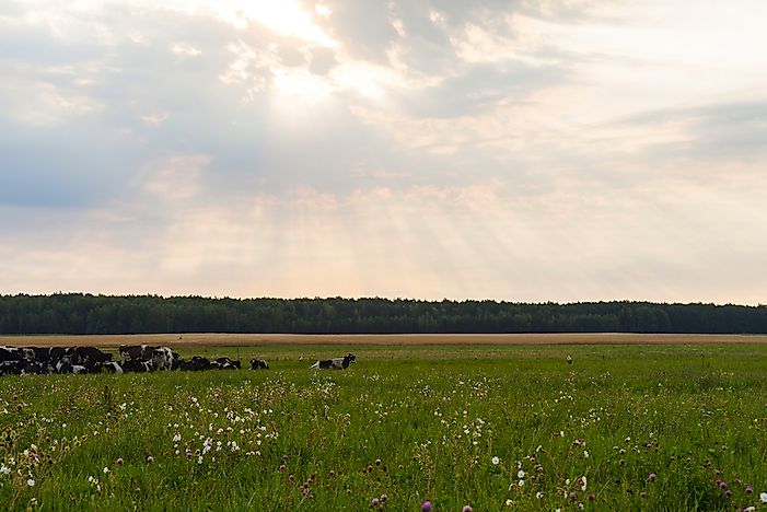 Highest Mountain In Belarus