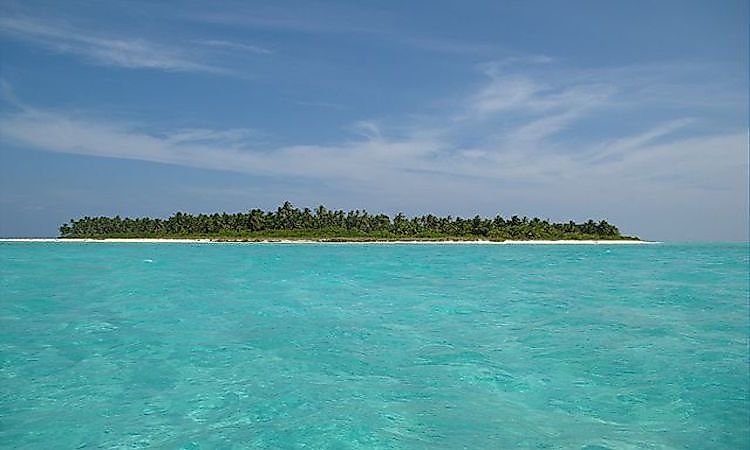 #4 Hotspots Of Endemism In The World -