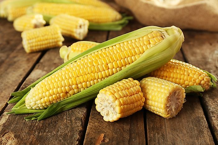 #1 Corn
