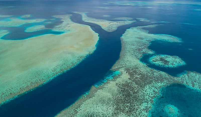 What Percentage Of The World's Ocean Area Is Protected?
