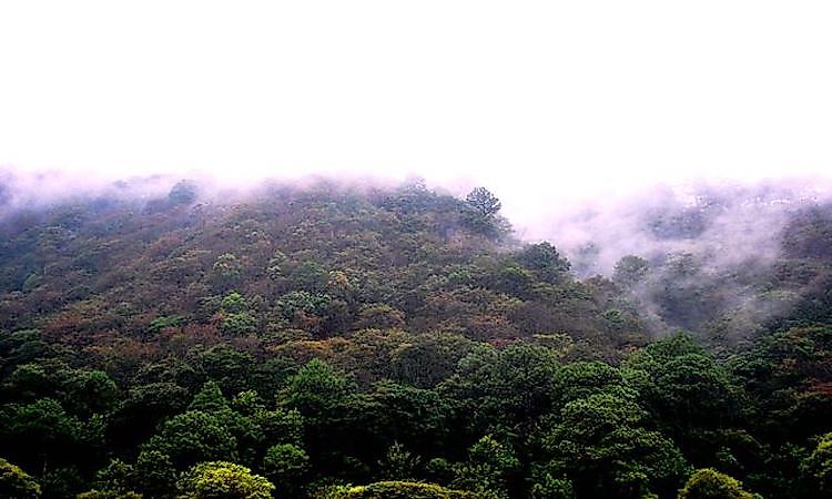 Ecological Regions Of Nicaragua