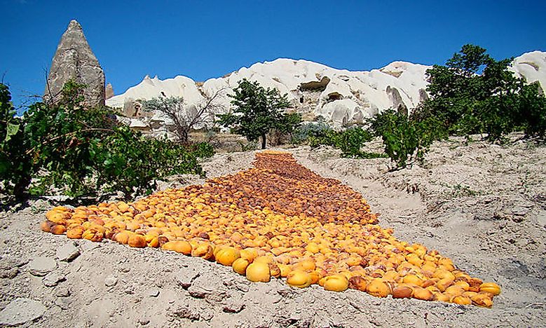 Which Are The World's Top Apricot Producing Countries?