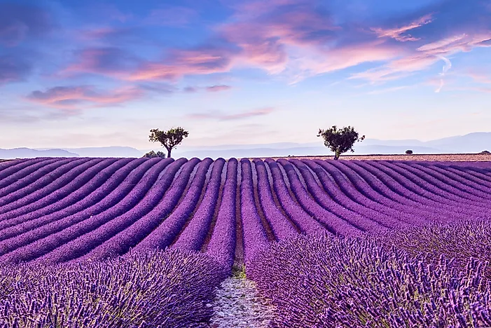The Regions of France