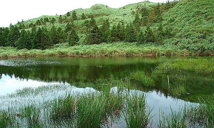 #3 Yangmingshan National Park -