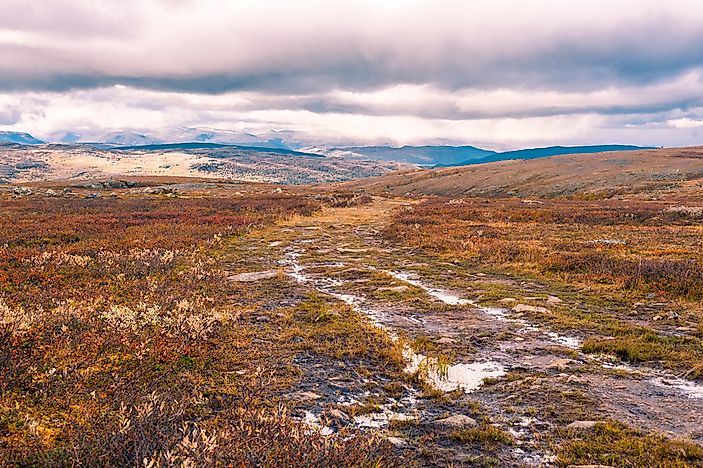What Is A Moorland?