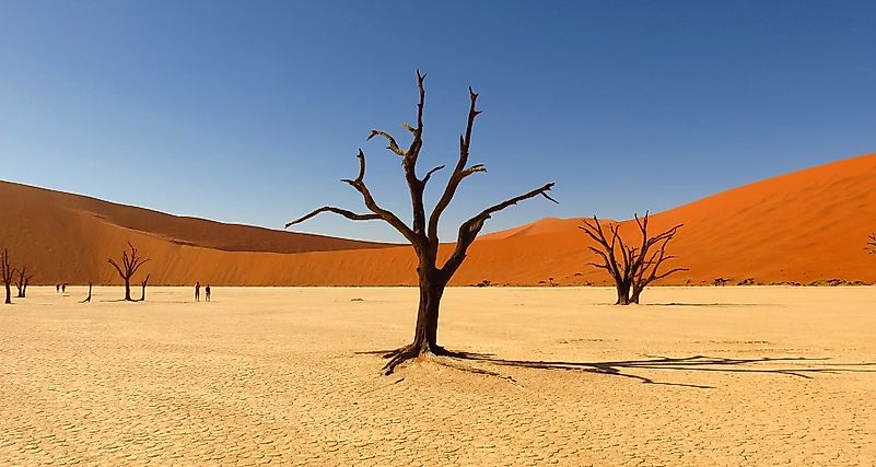 à¸œà¸¥à¸à¸²à¸£à¸„à¹‰à¸™à¸«à¸²à¸£à¸¹à¸›à¸ à¸²à¸žà¸ªà¸³à¸«à¸£à¸±à¸š KALAHARI DESERT