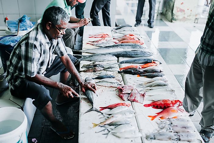 Fish for sale at the Fish Market Fish for sale at the Fish Market - Editorial credit: Ivan Kurmyshov / Shutterstock.com