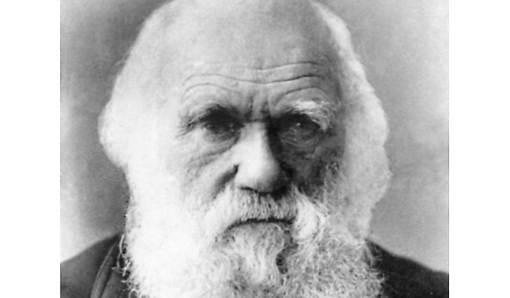 The Life of Charles Darwin