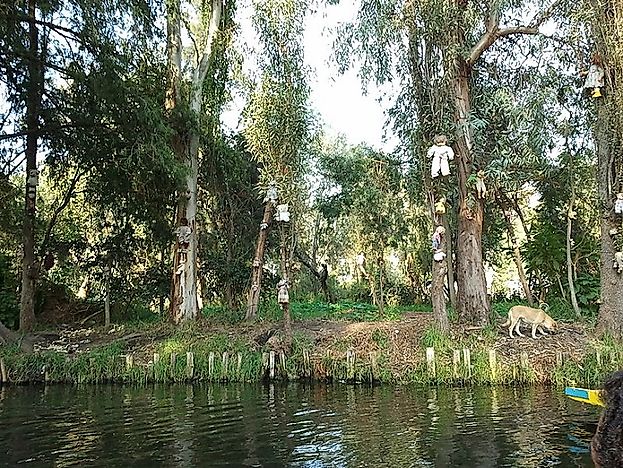 Mexico's Strange Island Of Dolls