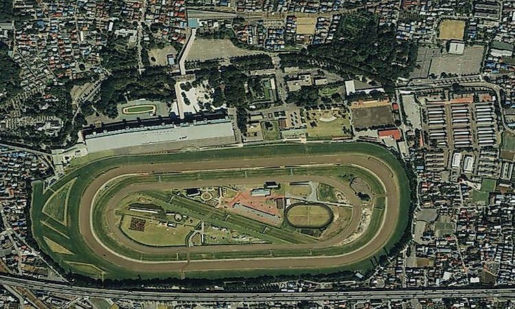 Horse Racing Venues By Capacity
