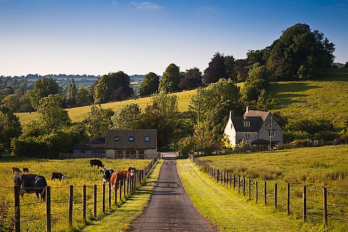 The Top 20 Agricultural Products Of The United Kingdom