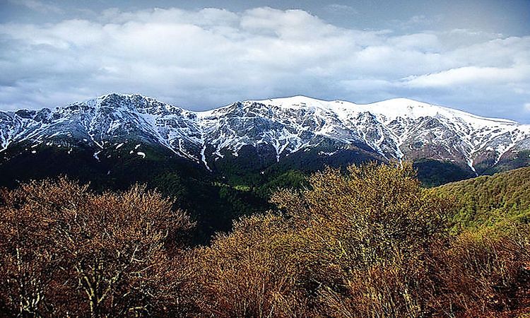 #2 Central Balkan National Park -