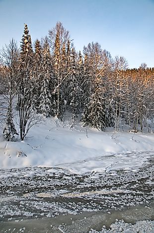 Where Is The Kuznetsk Depression?