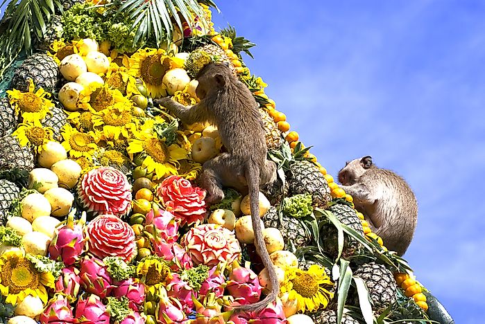#2 Monkey Buffet Festival - Thailand