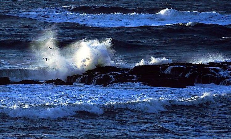 #1 Pacific Ocean -