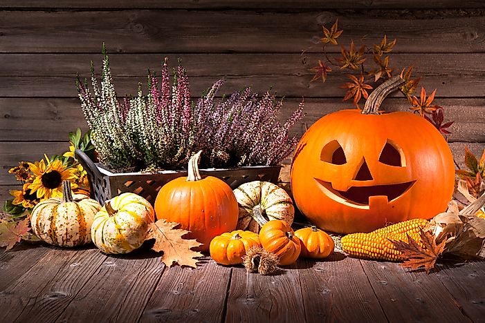 What are Halloween Cards?
