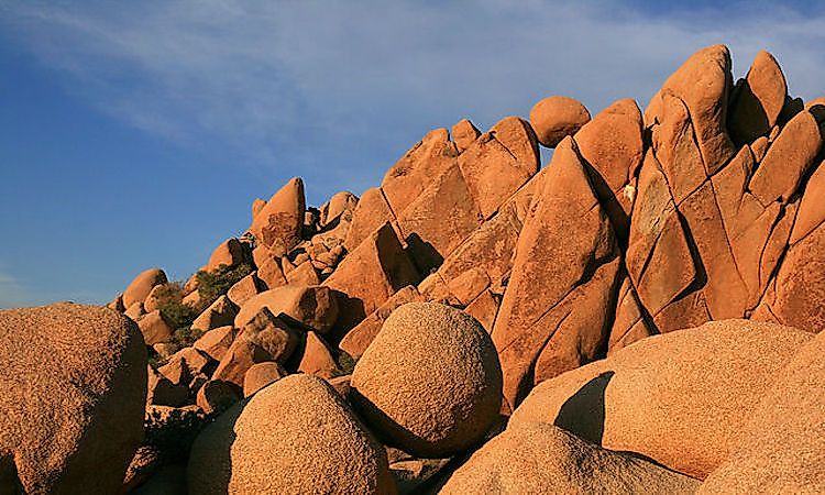 #4 Joshua Tree National Park -