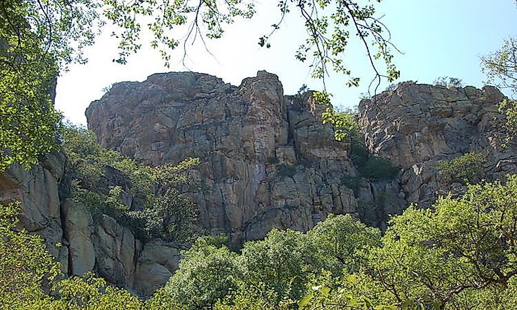 #2 Nature, Sights, and Sounds