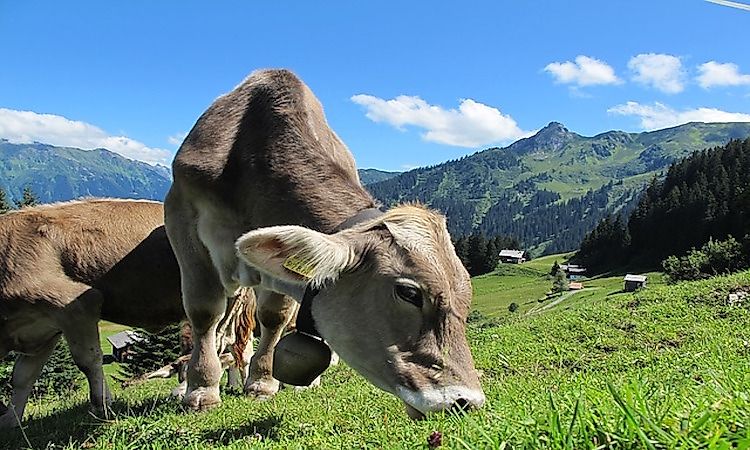 The Economy Of Austria