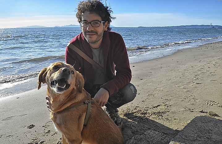 Countries With The Most Dogs Worldwide