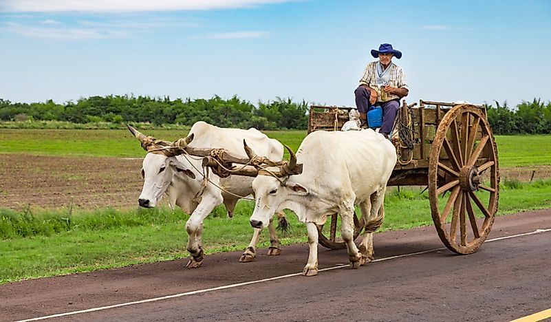 The Culture Of Paraguay