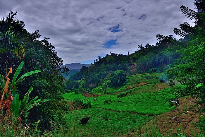 Tallest Mountains In Sri Lanka