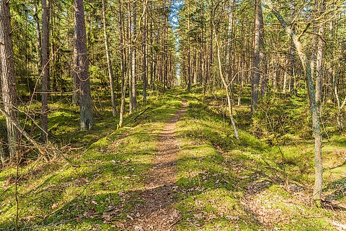 What is a Rail Trail?