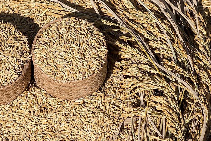 The World's Best Countries For Food Security