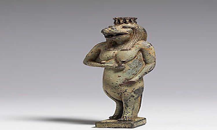 #2 Hippopotamus -