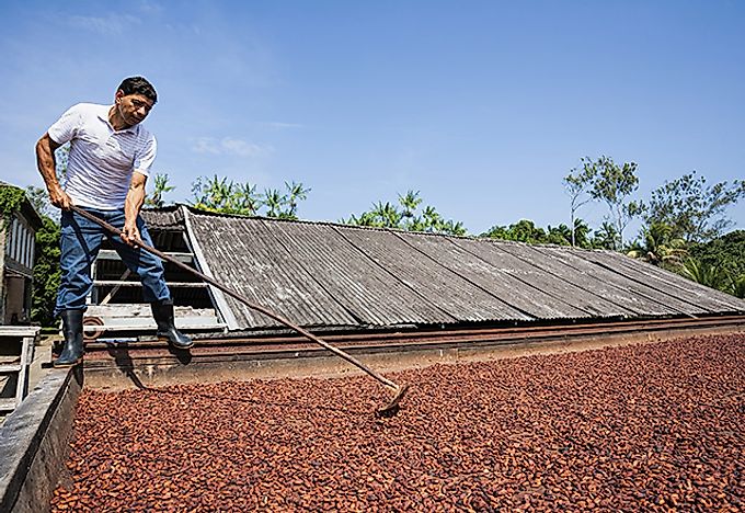 Top 10 Cocoa Producing Countries