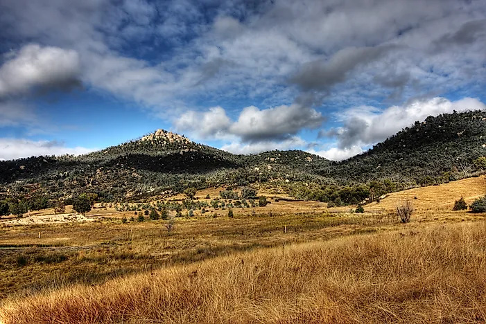 #3 Tidbinbilla