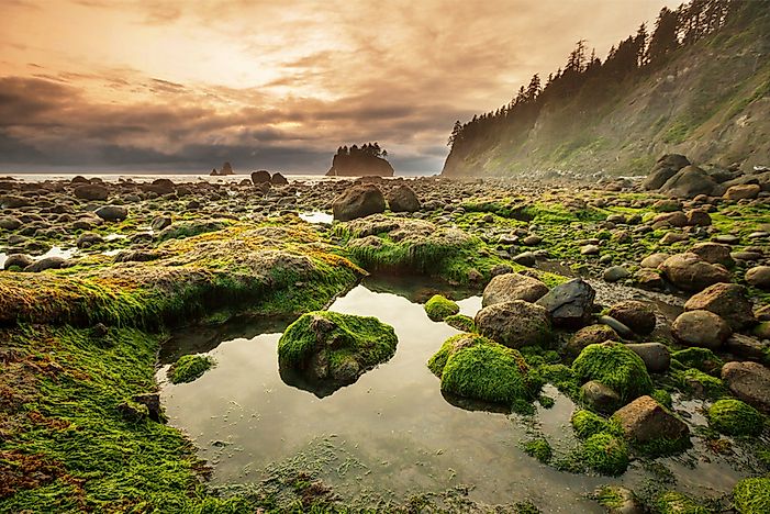 The National Parks of Washington, USA