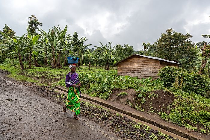 The Culture Of The Democratic Republic of the Congo