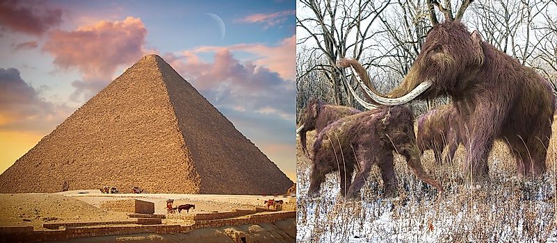 Мамонты все ещё бродили по Земле, когда строились Великие Пирамиды?