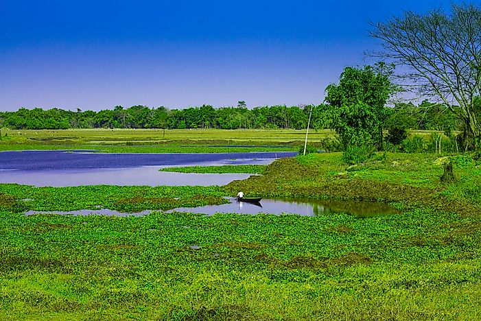 #1 The Largest River Island In The World