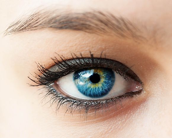 Super Fascinating Facts About The Human Eye You Probably Don't Know