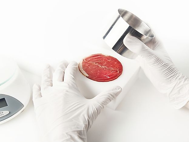 What is In Vitro Meat?
