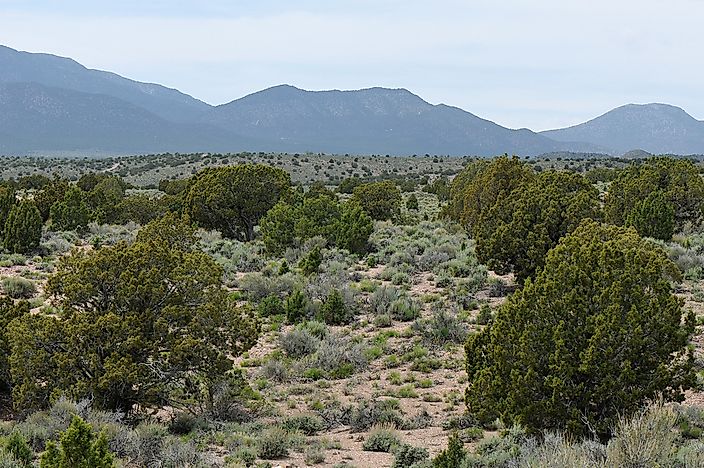 The Great Basin desert. The Great Basin desert.