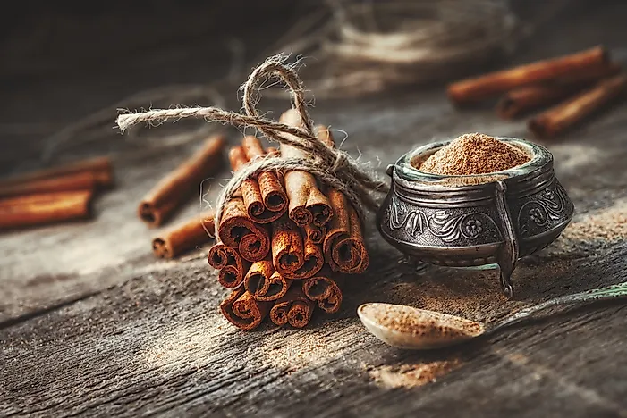 World's Top Cinnamon Producing Countries