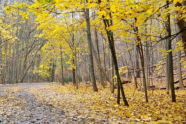 The Unique Ravine System of Toronto
